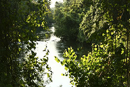 Stanislaus River